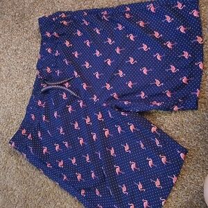Navy Flamingo Print Swim Trunks